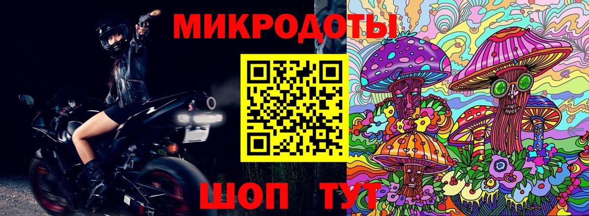 Псилоцибиновые грибы Psilocybe  Вход с VPN  Корсаков 